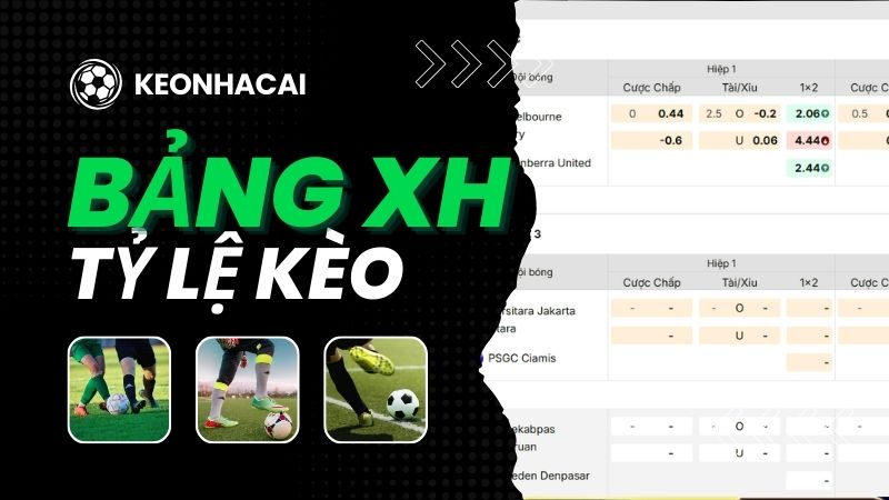 BXH kết nối bảng xếp hạng với tỷ lệ kèo, biến động kèo