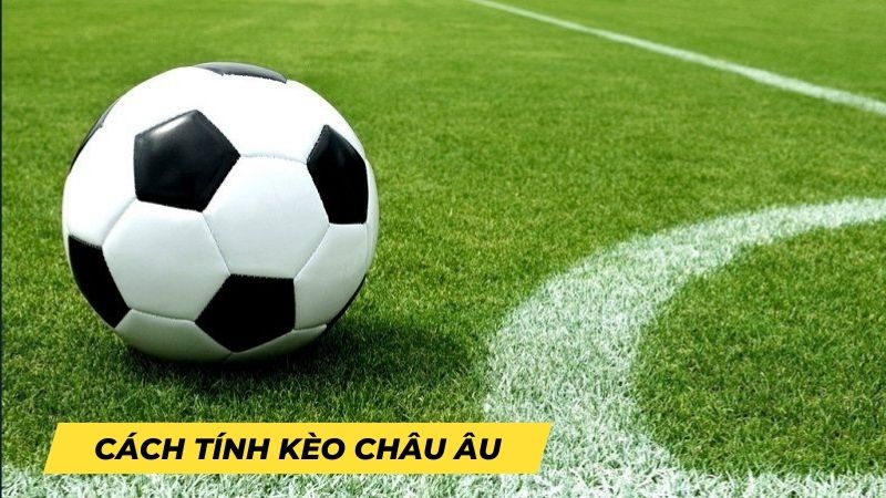 Kèo Châu Âu là dự đoán kết quả thắng, hòa hoặc thua đơn giản cho mỗi trận đấu.