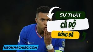 Khám phá sự thật về cá độ bóng đá